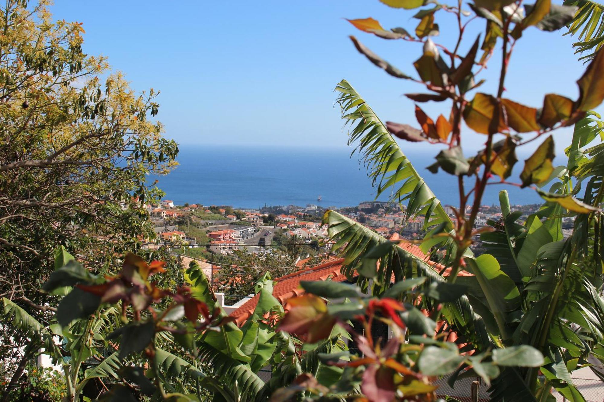 Alojamento Funchal - Silvestre House Εξωτερικό φωτογραφία